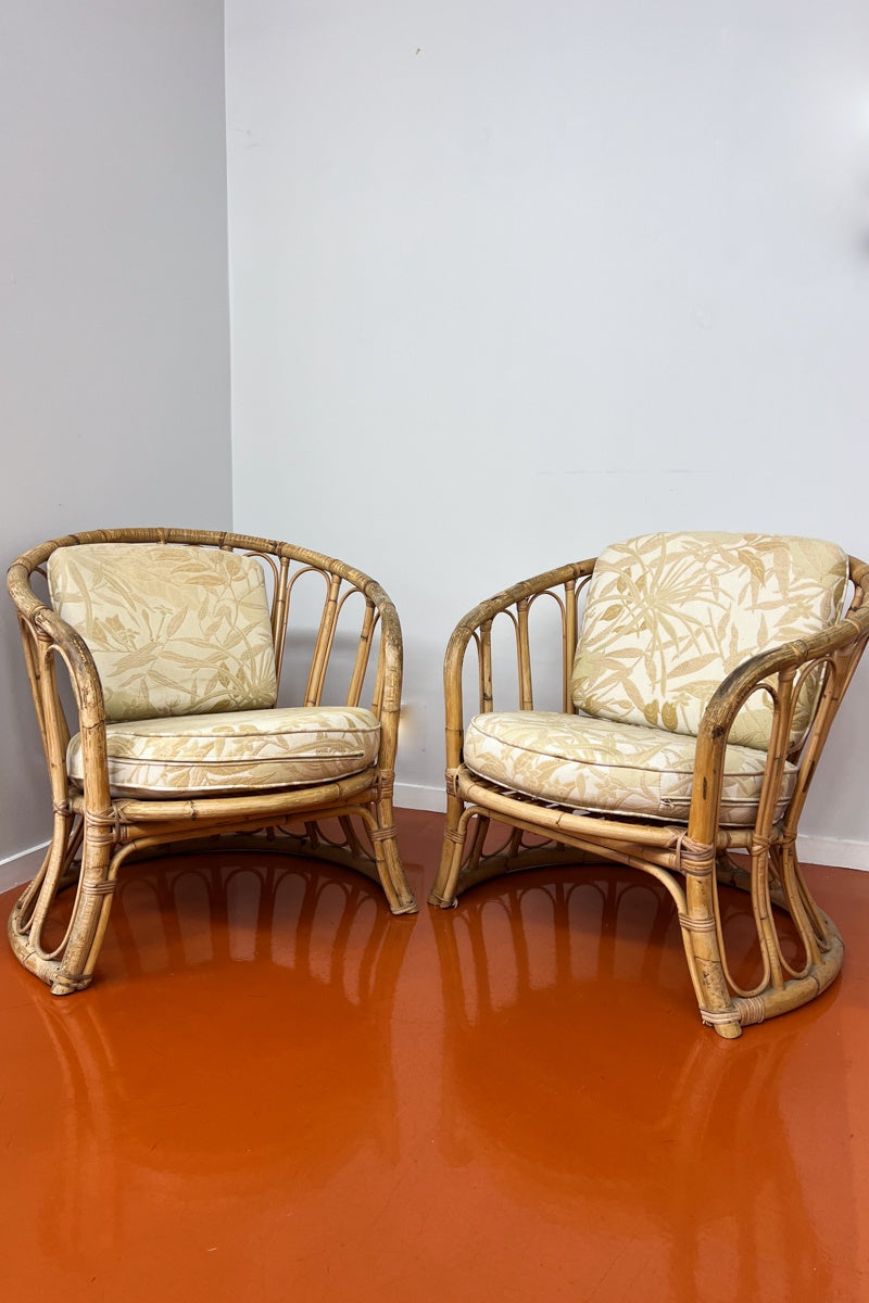 Vintage Pair of Cane Arm Chairs