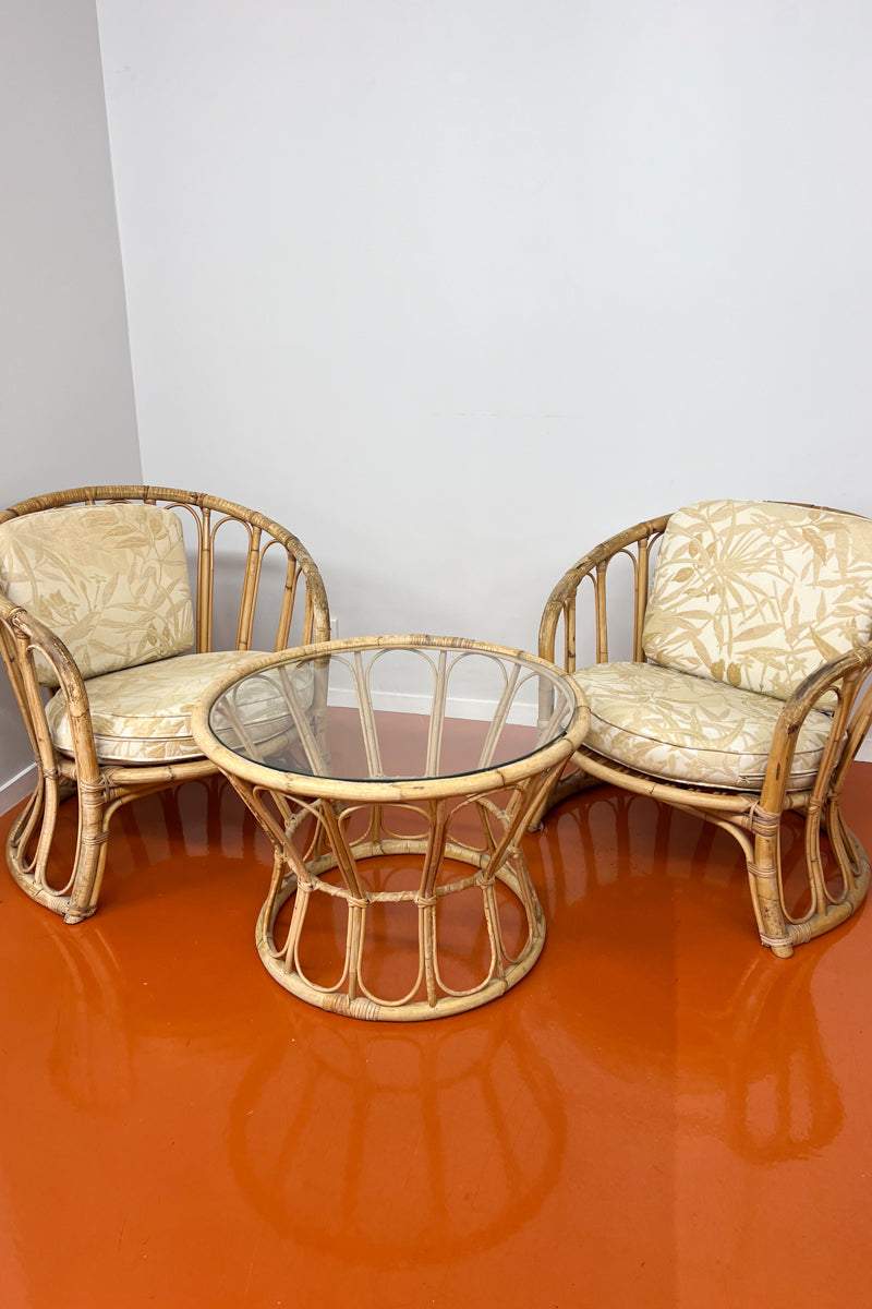 Vintage Pair of Cane Arm Chairs